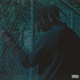 A Self Titled Reality