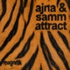Attract Single