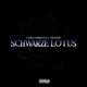 Schwarze Lotus Single