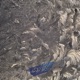 Hoar Frost Single
