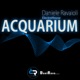 Acquarium Electro House Mix Single