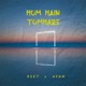 Hum Hain Tumhare Single
