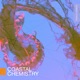 Coastal Chemistry