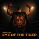 Eye of the Tiger Survive Single