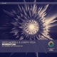 Momentum Single