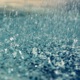 Rain Single