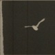 So Much Light EP
