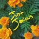 Just Jealous Single
