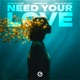 Need Your Love Single