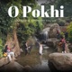 O Pokhi Single