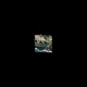 Dose VIII Single