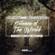 Silence of the World feat Rebecca Louise Burch Single