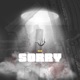 Sorry Single
