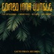 Combo Inna Jungle Single