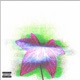 Ivy Single