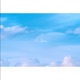 Swallow feat Hatsune Miku Single
