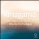 Amagama feat Dladla Mshunqisi Nokwazi Single