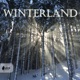 Winterland