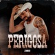 Perigosa Single