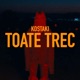 Toate Trec Single