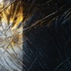 Instinktlab023