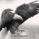 Soar Single