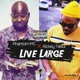 Live Large Single