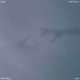 don t let go Single