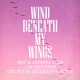 Wind Beneath My Wings Single