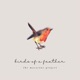 birds of a feather acoustic Single