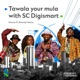 Tawala Your Mula With SC Digismart feat Brandy Maina Single