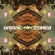 Organic Electronica