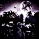 The Night Single