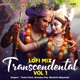Transcendental Vol 1 Lofi Mix
