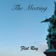 The Meeting Single