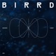 Void Loop Single