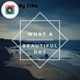 What a Beautiful Day Single
