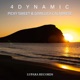 4 Dynamic Single