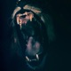 Beast Mode Freestyle Single