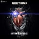 Rhythm of My Heart Single