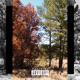 Potion Single