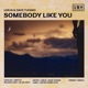 Somebody Like You Single