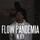 Flow Pandemia Single