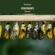 cocoon feat Sawert Single