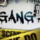 Gang feat Mookie Jackson Papi Tone KG Single
