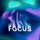 Focus Single