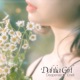 Dahlia Girl Single