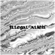 Illegal Alien