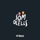 Som Ocells Single