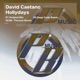 Hollydays Single
